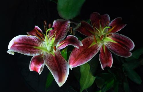 ƺӷⶳٶȼӿ쳤ȴﵽ631.3 ǧ׷